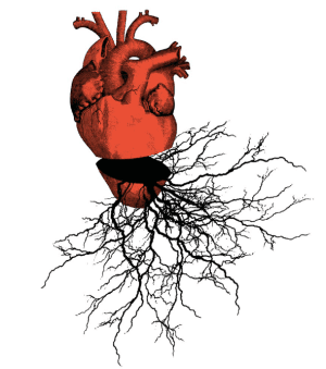 Tribuna: Mal que no ves, corazón que sí siente